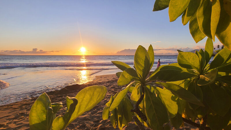 Send your best photos from Maui County to mauiphotos@mauinews.com for a chance to see them featured on our website and in our weekly print edition.